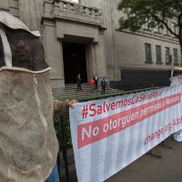 Exigen a la Corte hacer efectivas las resoluciones contra la siembra de soya transgénica en Campeche