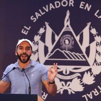 Bukele afirma que su partido y aliados ganaron 43 de 44 alcaldías en comicios locales de El Salvador
