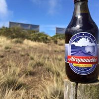 Elaboran una cerveza con agua de nubes