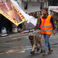 Tras el sismo, las heridas abiertas (imágenes)