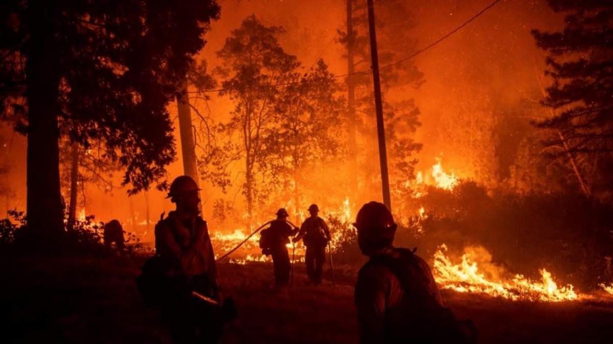 Incendios forestales en la zona del Delta. Fuente: (Facebook)