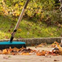 Antes de tirar las hojas secas de tus árboles, mirá los 3 usos que le podés dar a tu jardín