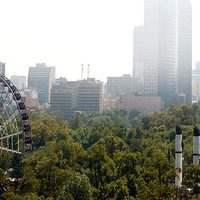 'Con la Gran Rueda o sin ella, continuarán problemas viales” en Reforma: gobierno CDMX
