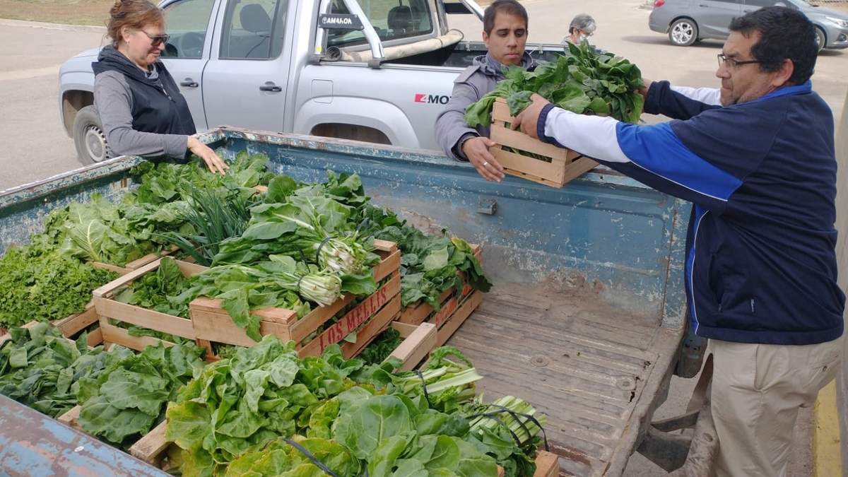 Donación de verduras en Plottier. Fuente: (Neuquén Informa).