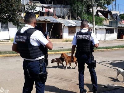 Tres ejecutados en negocio de compra-venta de fierro viejo en Tuxpan
