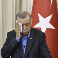 Erdogan insiste en reunir a Putin y Zelenski en Turquía "en un futuro no muy lejano"