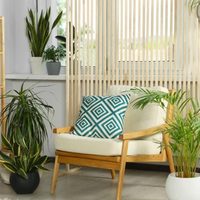 5 plantas XL para tu living que están de moda y que le dan un aire sofisticado a tu hogar