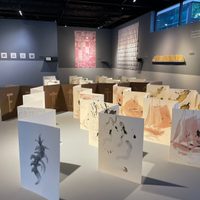 Libros de artista, de Ximena Pérez Grobet