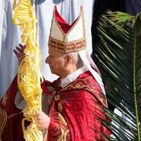 "No se puede utilizar a Dios para justificar la guerra": el Papa en la Misa del Domingo de Ramos