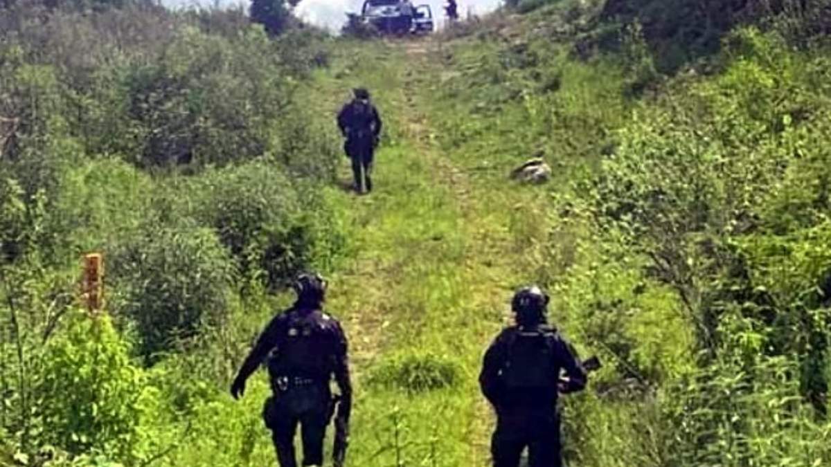 Lugar donde encontraron fosas clandestinas en Michoacán