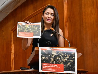 Legislatura mexiquense exige frenar “ecocidio” cometido por particulares en Valle de Bravo