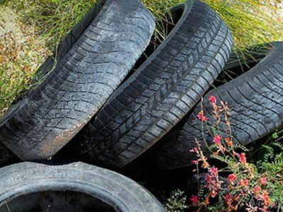 Con una goma de auto vieja y pedazos de machimbre, hacé este cantero precioso para tu patio o jardín