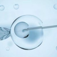 La fertilidad disminuye en todo el mundo... y la tendencia va a empeorar