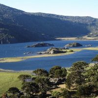 Villa Pehuenia: en busca de estrategias para afrontar la temporada de verano