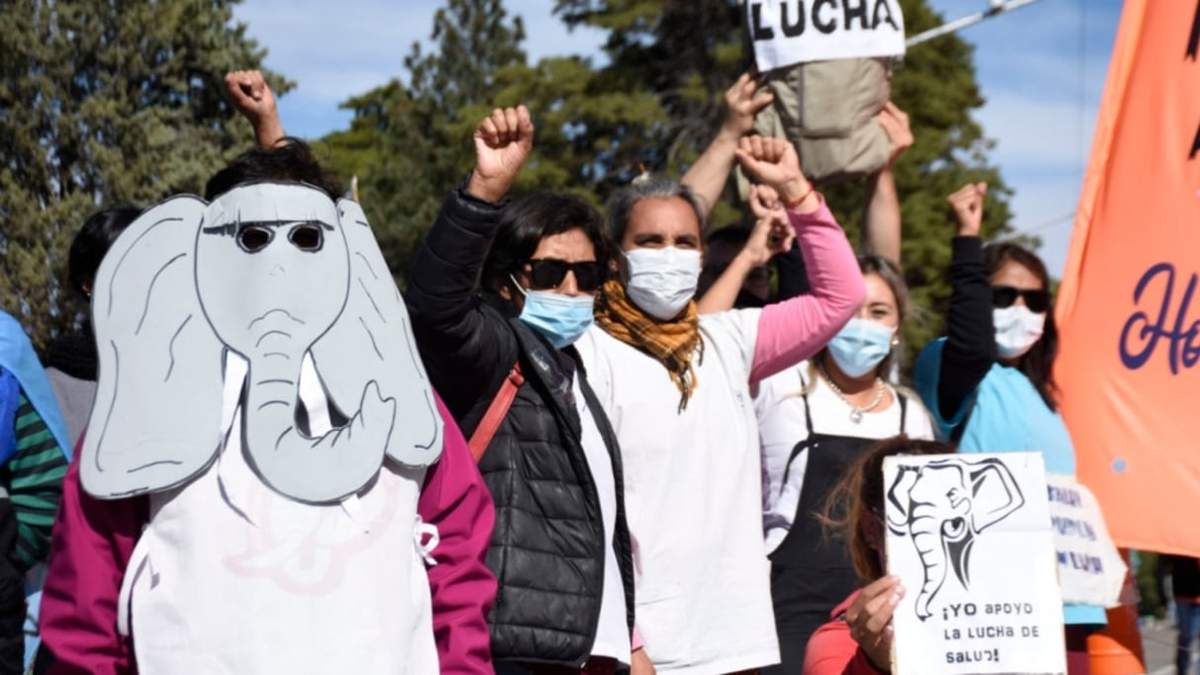 Personal de Salud de Neuquén en lucha. Fuente: (Twitter)