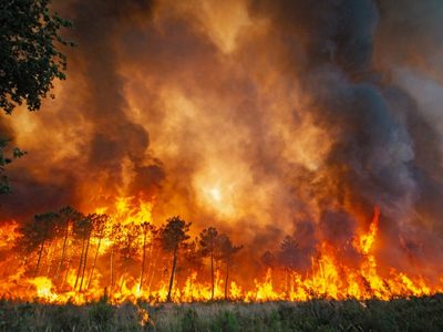 Francia detuvo a casi 50 personas por los incendios forestales que arrasaron miles de hectáreas