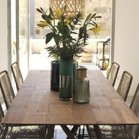 3 plantas que son perfectas para colocar en la mesa del comedor