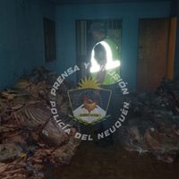 Decomisaron un millonario transporte de carne de contrabando en rutas de Neuquén