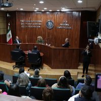 Consejería Jurídica de Presidencia llama “irresponsables” y “pitonisos” a magistrados electorales