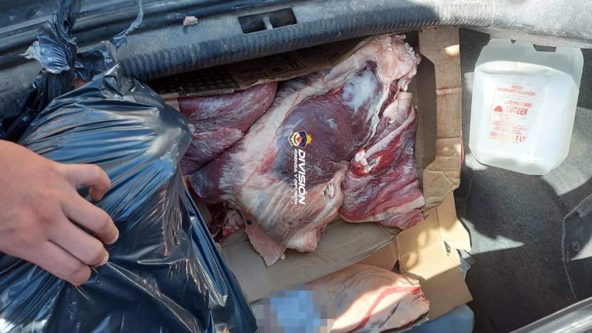 Carne decomisada en el Tercer Puente. Fuente: (Policía de Neuquén)