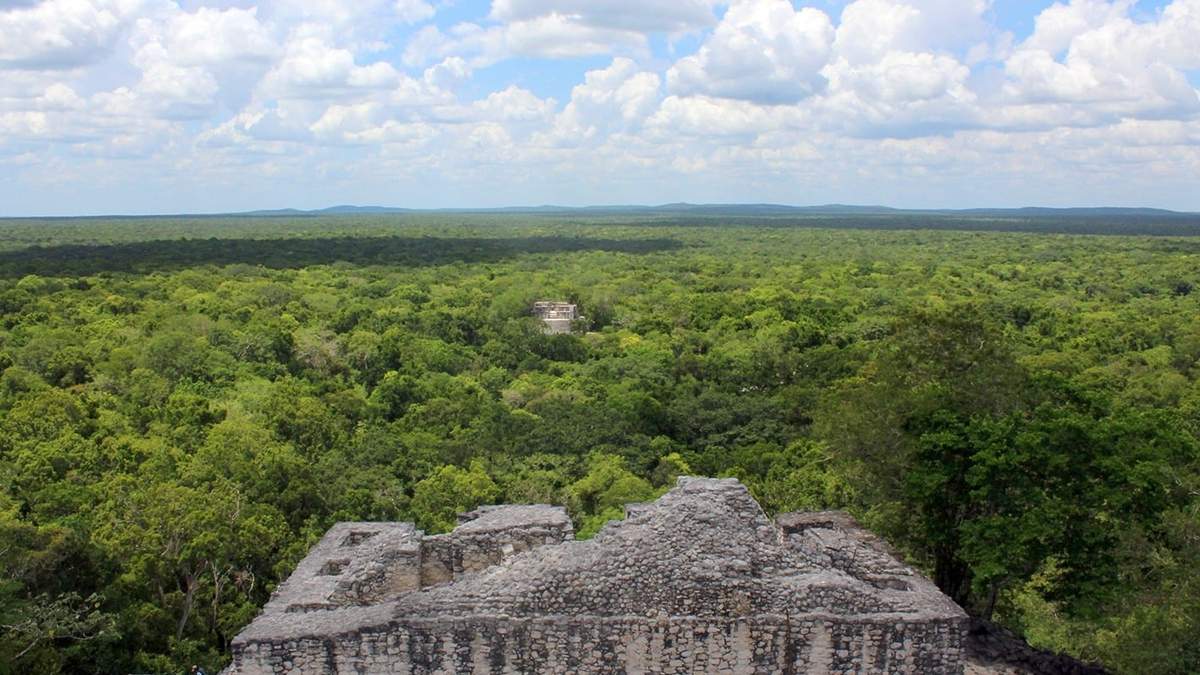 Reserva de Calakmul