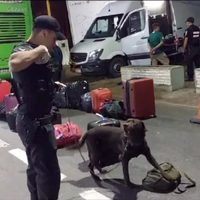 Detuvieron a un hombre que pretendía ingresar 7 kilos de droga a la provincia de Neuquén