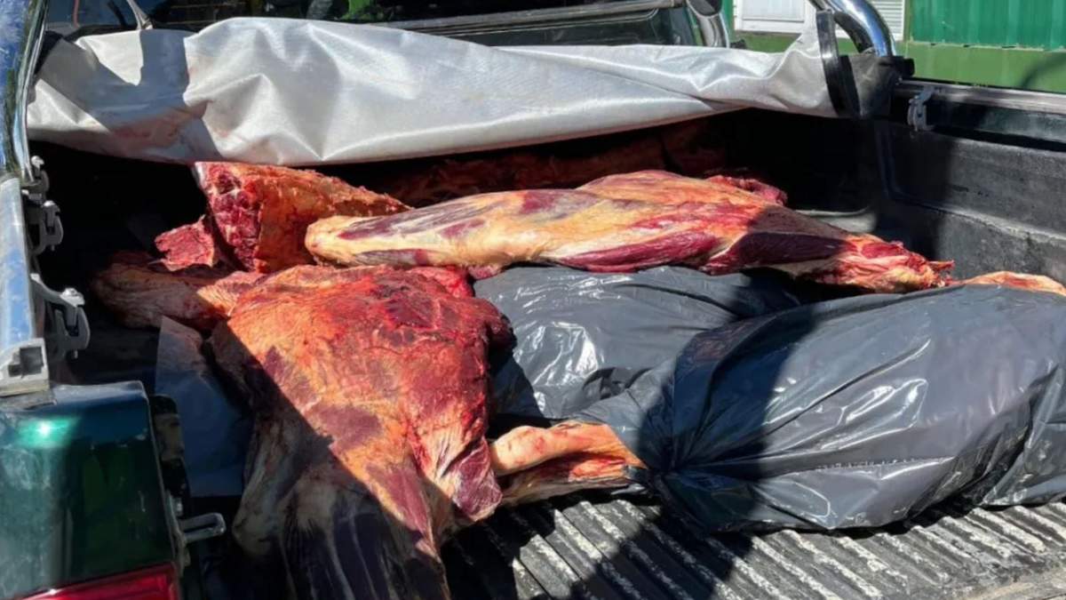 Recomendaron a la población adquirir carne en lugares habilitados, como carnicerías y supermercados. Fuente: (Neuquén Informa).