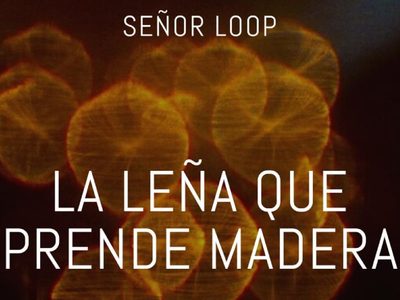Señor Loop: 'Nadie engaña a la música”