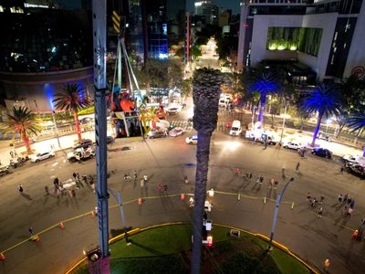 Así fue retirada la palma durante la madrugada
