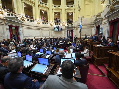 El Senado aprobó la suspensión de las PASO: cómo serán las votaciones en cada provincia
