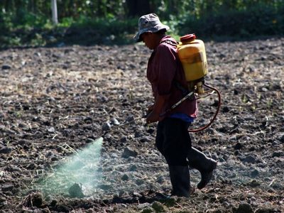 Monsanto presionó a AMLO para revertir su pretensión de prohibir el uso del glifosato: The Guardian