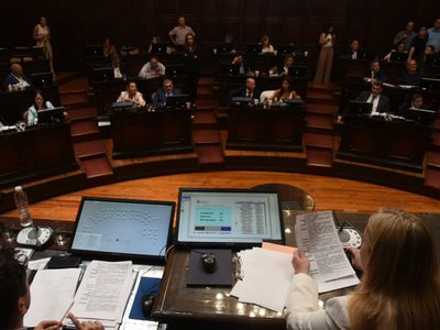 Cuántas sesiones hubo este año en el Senado de Mendoza