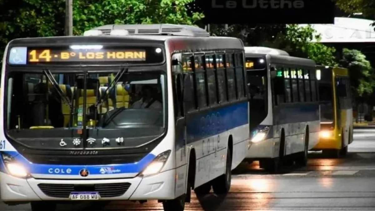 A partir de marzo de 2026 circularán 200 unidades del COLE en la ciudad de Neuquén. Fuente: (Alerta Digital)