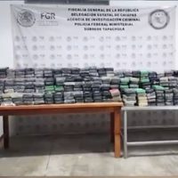Chiapas: FGR asegura media tonelada de cocaína en tráiler cargado con pescado congelado