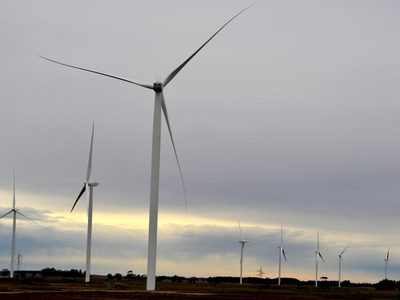 Se inauguró el Parque Eólico Vientos de Miramar