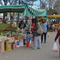 Feriantes de Plottier aseguran que trabajan en un espacio privado y que habían tenido el visto bueno de la Municipalidad