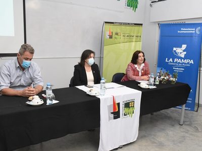 En La Pampa quieren generar energía eléctrica a partir de biomasa