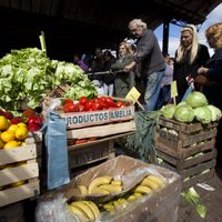 Se juntaron y pusieron una verdulería con el IFE