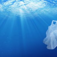 Cerca de 13 millones de toneladas de plásticos ingresan anualmente a los océanos
