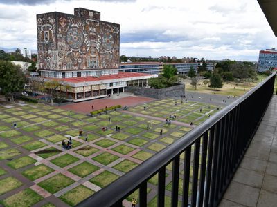 La UNAM rechaza que exista una plaga; sólo ha encontrado una chinche