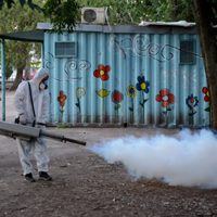 Para detener al dengue, otorgan permisos especiales de trabajo en La Plata