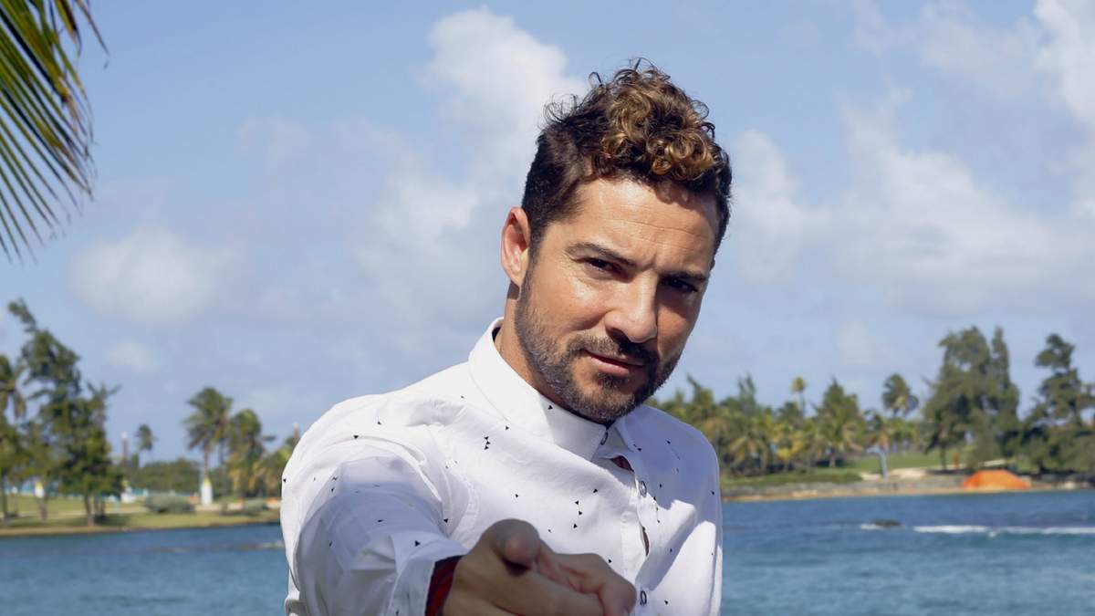 David Bisbal. Fuente: (Instagram).