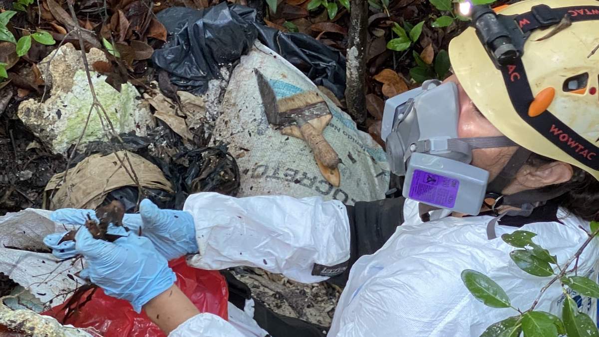 Fosa localizada en la periferia de Cancún