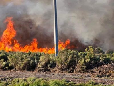 Un incendio devoró 30 hectáreas de campo en la localidad de Añelo