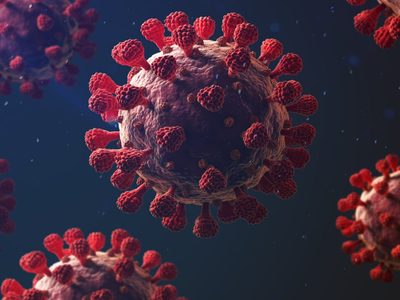 Esto reveló el primer estudio que infectó deliberadamente de coronavirus a los voluntarios