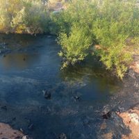 Importante derrame de petróleo en Rincón de los Sauces afectó a una familia de campesinos