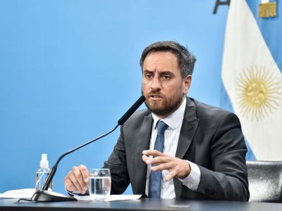 Incendios en el Paraná: Juan Cabandié en búsqueda de culpables por el fuego