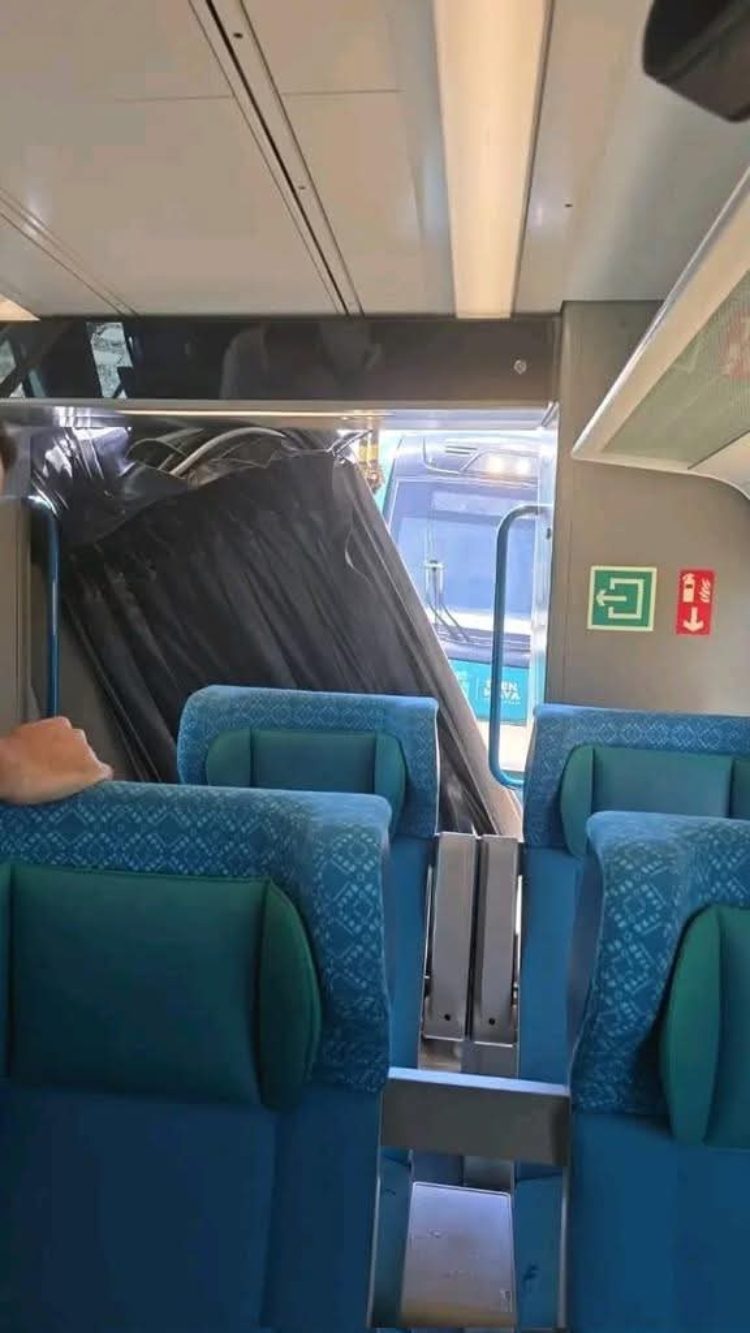 Tren-Maya-3