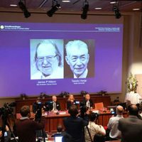 Allison y Honjo ganan el Nobel de Medicina por desarrollar terapias contra el cáncer