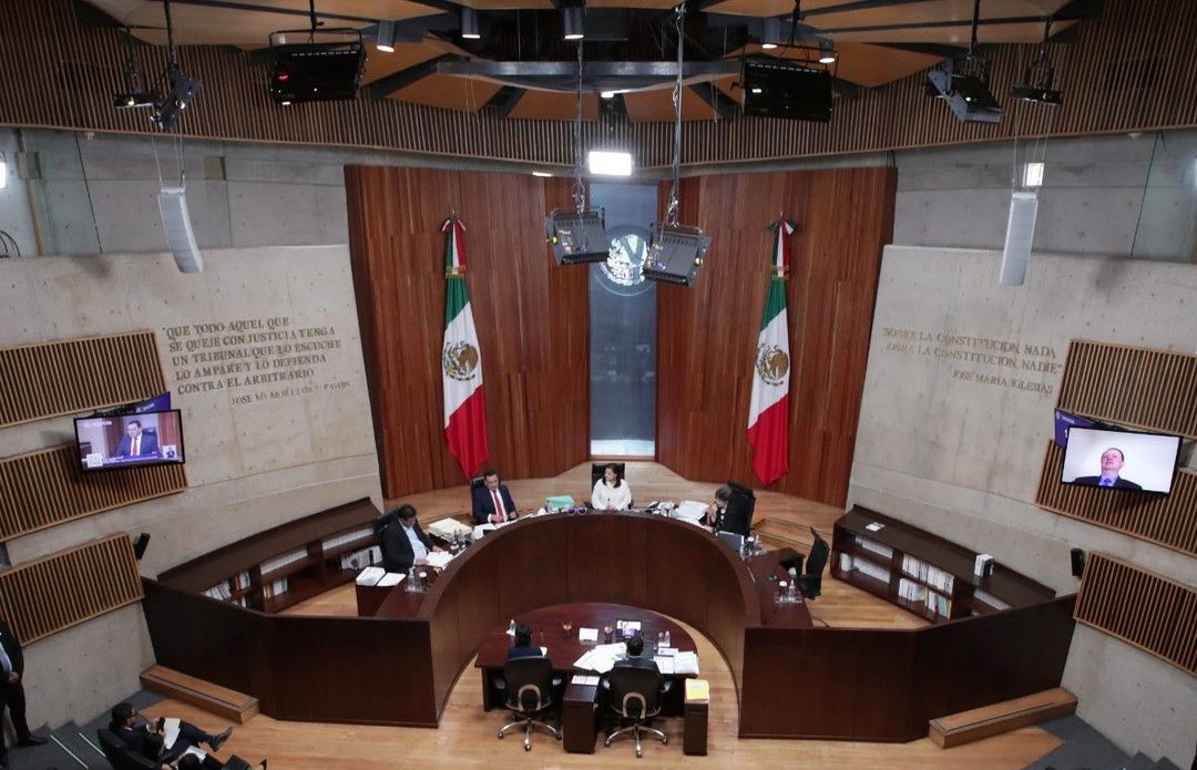 TEPJF Foto X  @TEPJF_informa